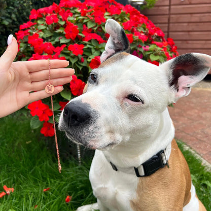 Personligt husdjursporträtt-halsband