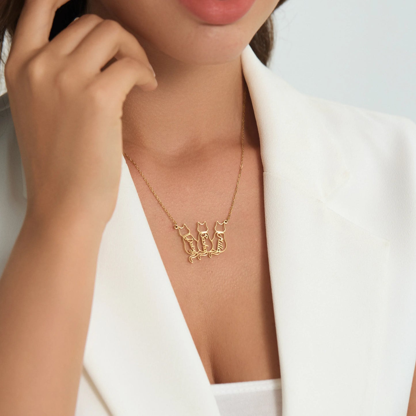 Personligt kattnamnhalsband