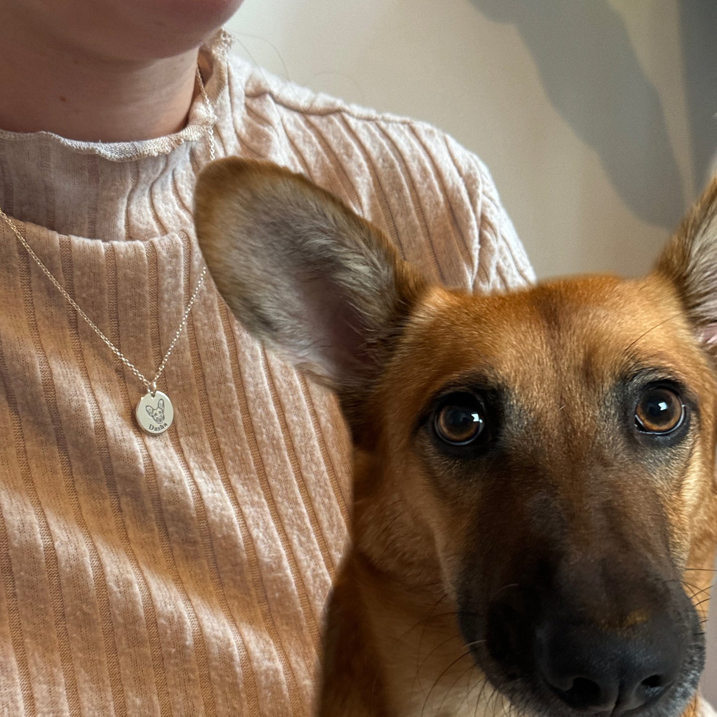 Personligt husdjursporträtt-halsband