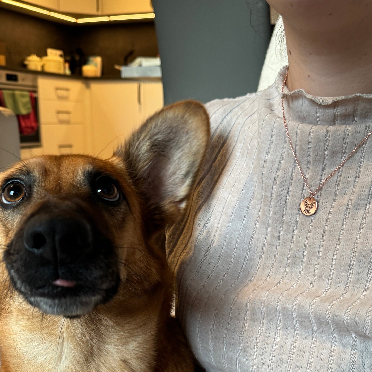 Personligt husdjursporträtt-halsband