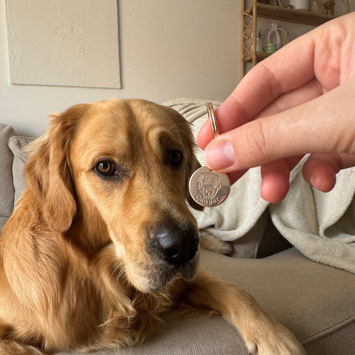 Nyckelring med personlig husdjursbild